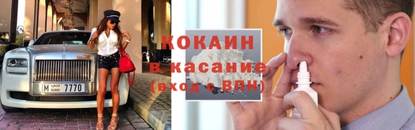 дживик Дрезна