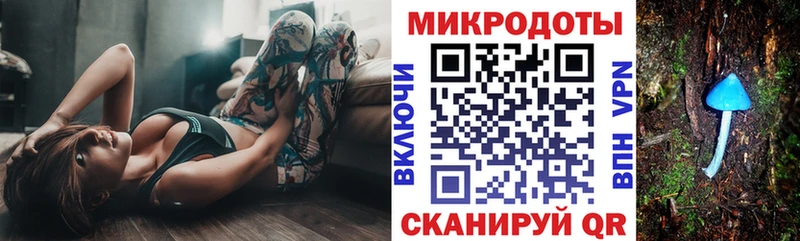 Псилоцибиновые грибы Psilocybine cubensis  Нижняя Салда 