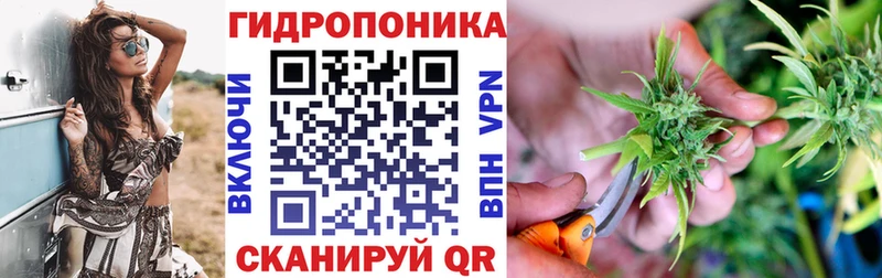 ссылка на мегу как войти  Нижняя Салда  Марихуана White Widow  сколько стоит 